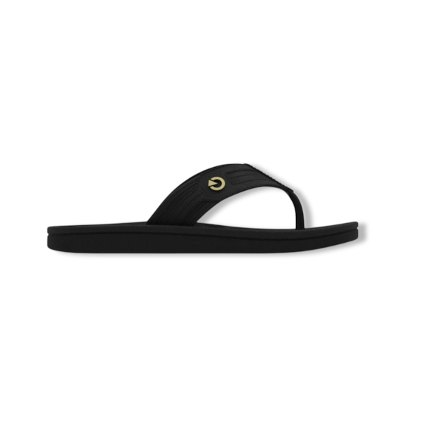 CHINELO MASCULINO  CARTAGO 11859